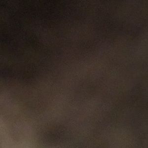 Meet your Posher, Hailey